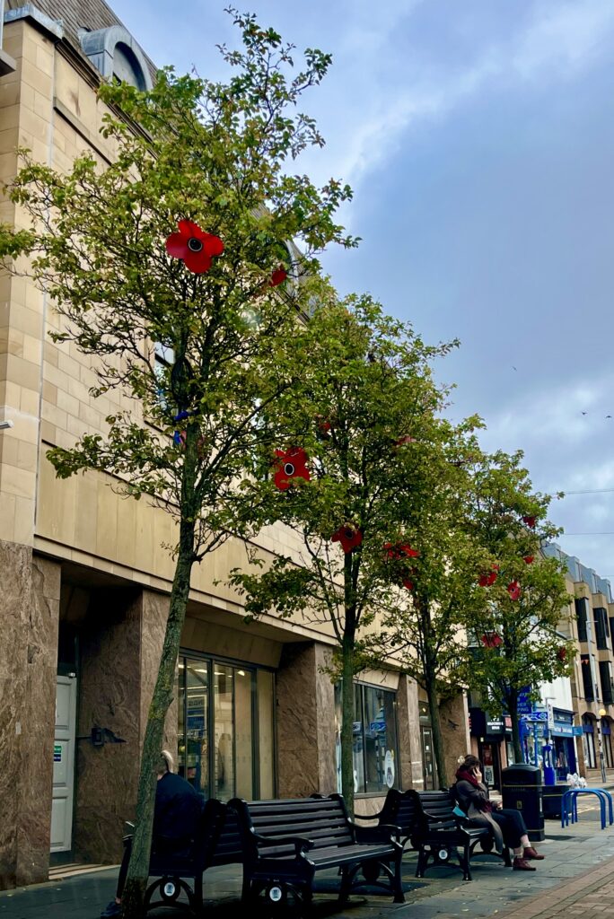 Tree on Denfermline highstreet decorated with poppies as part of Poppy Scotland poppy appeal.